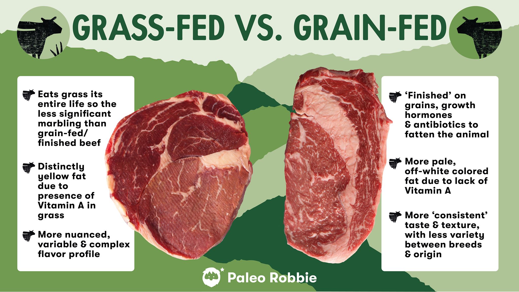 The Importance Of Grass Fed Beef